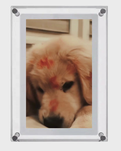 EverKeep™ Digital Frame